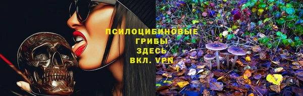 тгк Алзамай