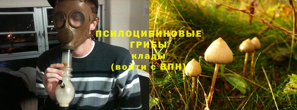 героин Алексин